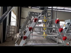 Gabbia di pollo pulcino