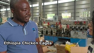 Feedback dei clienti