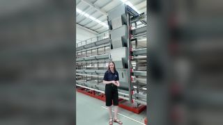 Il sistema automatico di gabbie per polli da carne/ovaiole massimizza i profitti degli allevamenti di pollame