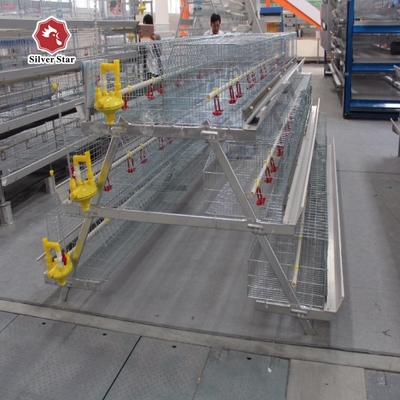 Automatic Layer Baby Broiler Chick Cage Poultry Farm Equipment Pullet  275g / M2