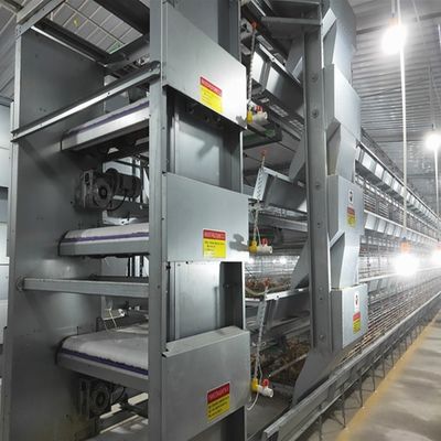 H Type Layer Cage with Hot Galvanization & Automatic Feeding for Large Poultry Farm Projects