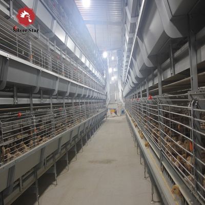H Type Broiler Cage System with Hot Dip Galvanizing for High Density Breeding and Automatic Feeding