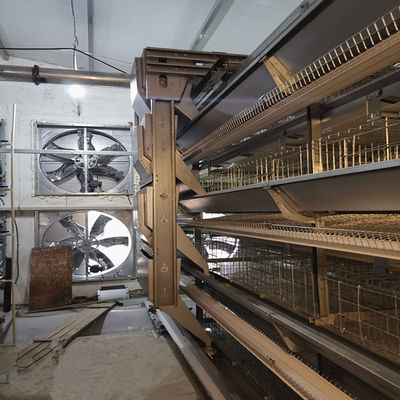 H Type Layer Cage with Hot Galvanization & Automatic Feeding for Large Poultry Farm Projects