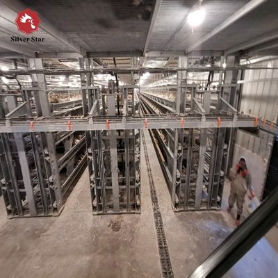 H Type Layer Cage with Hot Galvanization & Automatic Feeding for Large Poultry Farm Projects