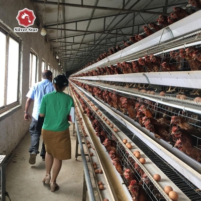 120 Birds Battery Chicken Cage Nigeria Poultry Farm Galvanized Q235 3 Layers