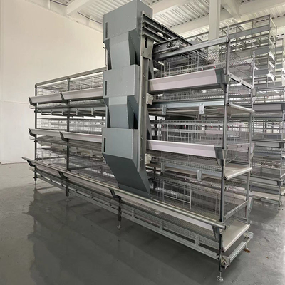 Battery 50000 Layers 5 Tier Broiler Cage System HDG Steel Material