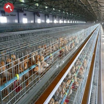 Multi-Level H Frame Broiler Housing Cage Durable Galvanized Steel Poultry Equipment for Commercial Grow-out Farms