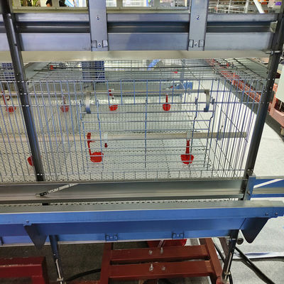 Fully Automatic H-Type Broiler Chicken Cage System with Auto Feeding & Cleaning for High Density Commercial Meat Chicken Farms