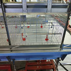 Poultry Equipment Broiler Chicken Cage 100kg Load Bearing Not Broken