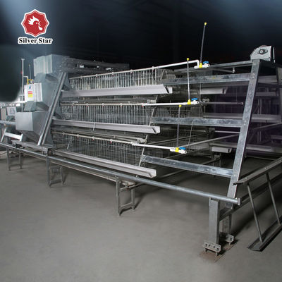 A Type Battery Chicken Layer Cage 3 Tier 120 Capacity For Poultry In Dubai