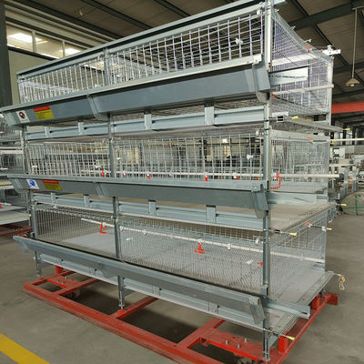 H Frame Battery Broiler Chicken Cage Hot Galvanized Steel Wire Mesh