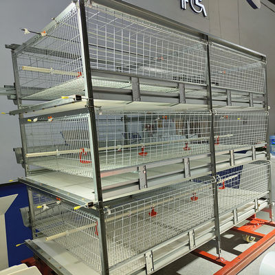 3-9 Floor Farm Battery Chicken Cage With Automatic System