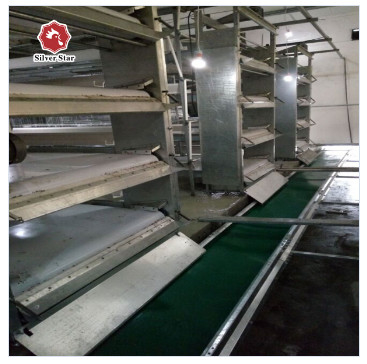 9 Tiers Q235 Battery Egg Layer Cages Poultry Field Chicken Breeding Cage