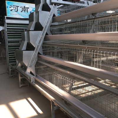 Long Time A Type Farm Chicken Battery Cages For Layers