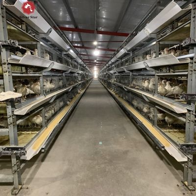 Sistema automatico di gabbie a batteria per polli da carne H-Type per allevamenti commerciali di polli da carne con telaio zincato a caldo e configurazione a 3-4 piani