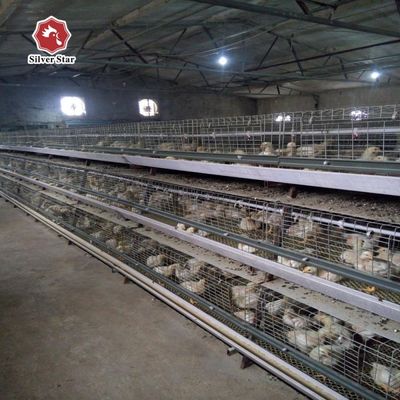 Miglior prezzo Sistema di gabbie per polli da carne di tipo A Gabbia per polli da carne automatica di tipo A per 1000-50000 polli
