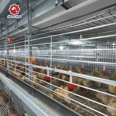 Sistema di gabbia a batteria per strati attrezzature per pollame automatiche Soluzione di allevamento di uova di pollo