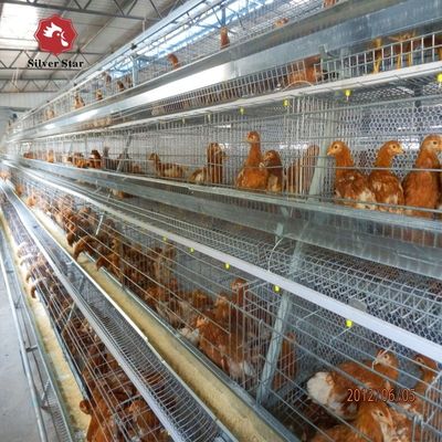 Sistema di gabbia a batteria per pollame di tipo A galvanizzato a caldo
