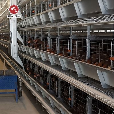 Sistema di gabbia a batteria a strato automatico di tipo H per allevamenti commerciali di pollame - galvanizzato a caldo, raccolta automatica di uova, durata di 15-20 anni