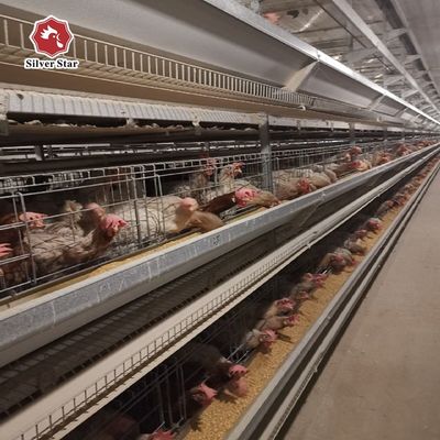 Sistema di gabbia per polli a livello H. Attrezzature automatiche per polli per allevamenti commerciali di uova