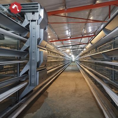 Cage a batteria a strato di tipo H di grado industriale con supporto tecnico estero