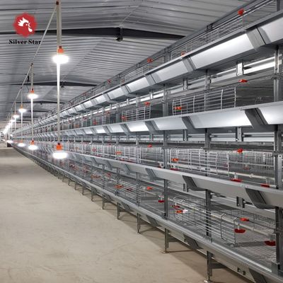 Sistema di gabbie per polli da carne di tipo H con zincatura a caldo per allevamento ad alta densità e alimentazione automatica