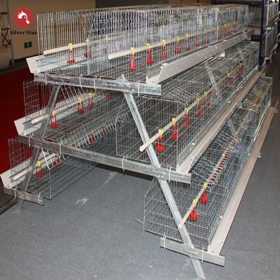 Best Price A Type Broiler Cage System Automatic A Type Broiler Cage for 1000–50000 Chickens