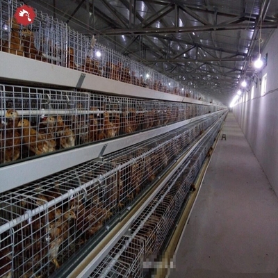 SONCAP Poultry Broiler Chicken Cage Equipment Coop For Layer
