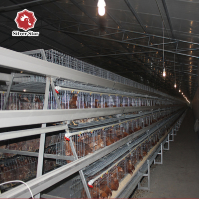 A Type Battery Hens Layer Chicken Cage Automatic Poultry Farm Equipment