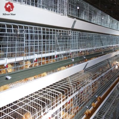 Sistema automatizzato di gabbia per polli di pollame di tipo H per allevamenti commerciali