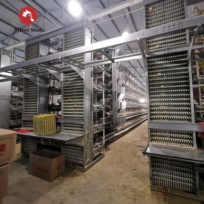 Sistema automatico di gabbia a batteria per polli di pollo di tipo H per allevamenti commerciali di polli da carne