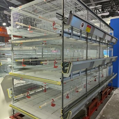 Sistema automatico di gabbia per l'incubatura dei pulcini di tipo H con galvanizzazione a caldo e capacità di 100-300 polli/set