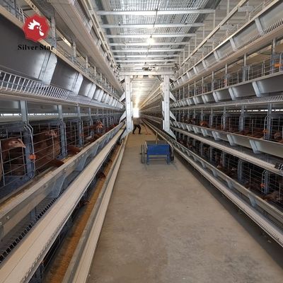 Sistema automatico di gabbie per galline ovaiole a strati tipo H | Henan Silver Star