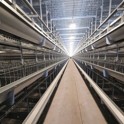 Cage a strato galvanizzata a caldo di tipo H Cage di pollame automatizzato ad alta capacità con alimentazione automatica per grandi allevamenti di pollame