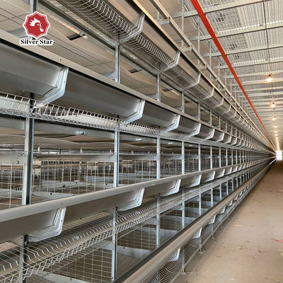 Equipaggiamento automatico per allevamenti di pollame a strato ad alta densità batteria di tipo H Sistema di gabbia per polli per allevamenti di produzione di uova