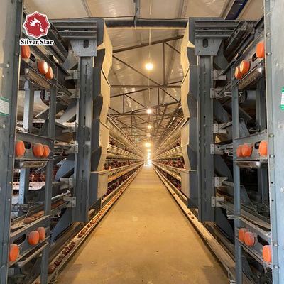 Sistema automatico di gabbia a strato a batteria per allevamenti di pollame