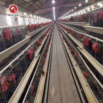 Gabbia di pollo a 3 / 4 livelli di tipo A con alimentazione automatica e raccolta di uova e acciaio galvanizzato a caldo