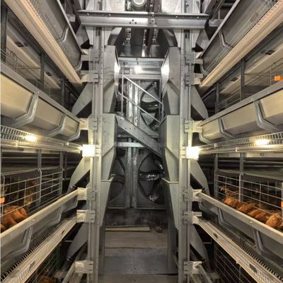 Standard Layer Chicken Cage for Optimal Space Utilization and Durable Poultry Rearing