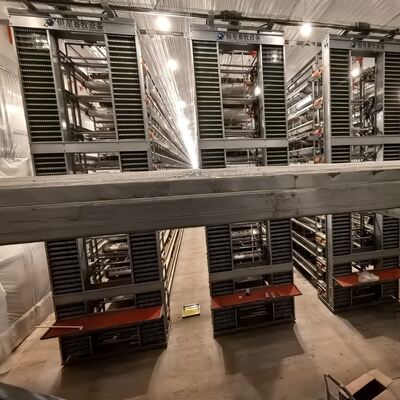 Gabbia pesante per polli a batteria progettata per ottimizzare la produzione di uova e migliorare la salute dei polli negli allevamenti commerciali