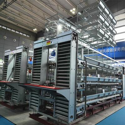 Sistema di gabbie automatiche per polli da carne tipo H con zincatura a caldo e design modulare impilabile per allevamenti commerciali di polli da carne