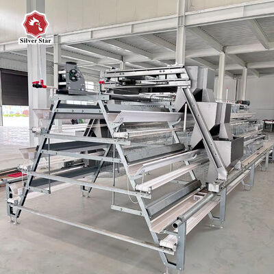 Sistema di gabbie per polli a strati di tipo A con design a 3/4 livelli, alimentazione automatica e raccolta delle uova, acciaio zincato a caldo
