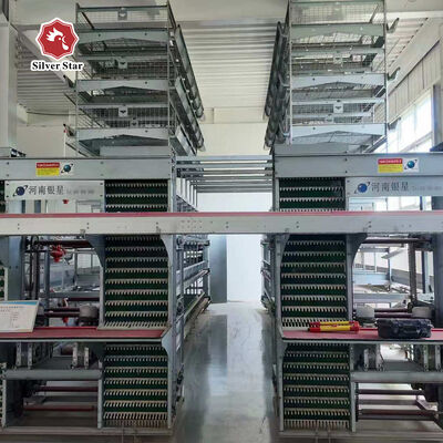 Sistema di gabbia a batteria a strato automatico di tipo H con acciaio galvanizzato a caldo per la raccolta automatica di uova e 15-20 anni di vita