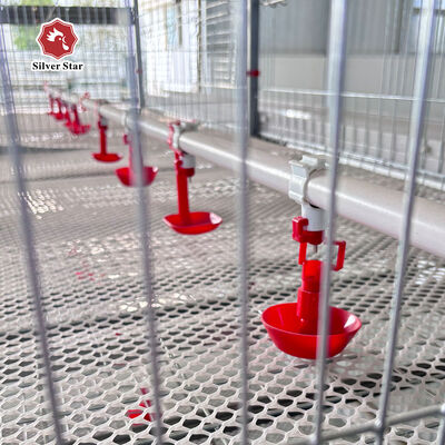 Automatic A-Type Baby Chick Brooding Cage System with Hot Dip Galvanizing and Automatic Nipple Drinkers for 100-300 Chickens/set