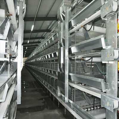 Sistema automatico di gabbia a batteria tipo H con galvanizzazione a caldo e progettazione modulare impilabile per l'allevamento commerciale di pollame