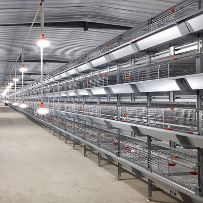 Gabbia per polli di pollo di tipo H completamente automatica con allevamento ad alta densità e galvanizzata a caldo per allevamenti commerciali di pollame