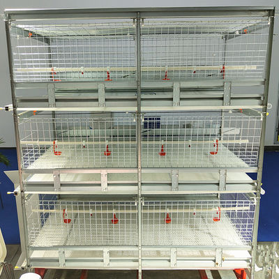 3-9 Floor Farm Battery Chicken Cage With Automatic System