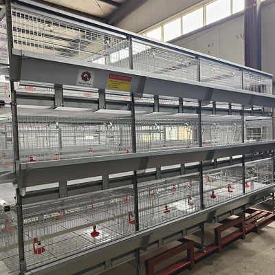 SONCAP Certification 380V 50HZ Automatic Broiler Equipment For Chicken House