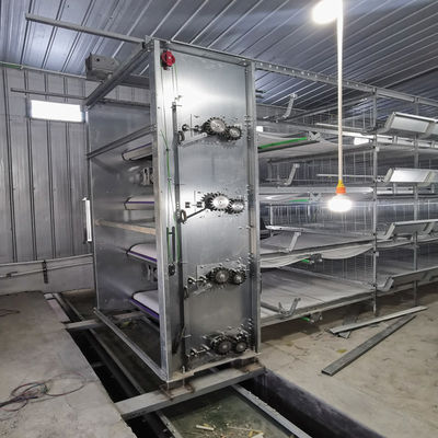Sistema di gabbia a batteria di tipo H con galvanizzazione a caldo, vasca di alimentazione automatica e design modulare impilabile per aziende agricole commerciali
