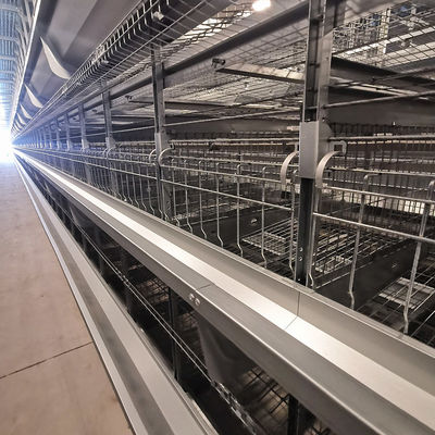 Sistema di gabbia a batteria per polli di pollo di tipo H diretto in fabbrica con galvanizzazione a caldo, tappetini di maglia di plastica morbida e pulizia automatica del letame della cintura di PP
