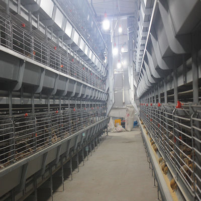 Sistema di gabbia a batteria a strato automatico di tipo H con 15-20 anni di vita utile per l'allevamento commerciale di pollame - completamente automatizzato e galvanizzato a caldo